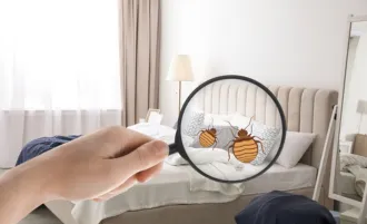 Bed Bug Treatment