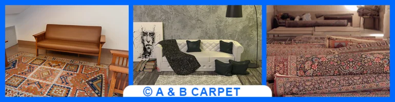 Area Rug Cleaning Image One