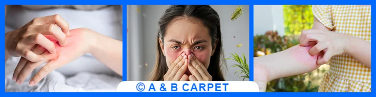 Allergy Control Image One