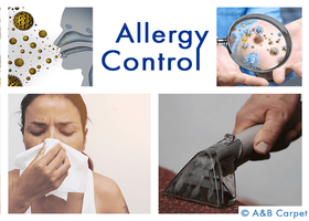 Allergy Control - Beverly Square West 11226