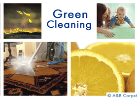 Eco Friendly Cleaning - Clinton Hill 11205