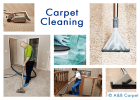 Carpet Cleaning - Beverly Square West 11226